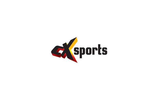 標志圖形將老鷹和眼睛完美融合在一起，充分表達了logo的釋義