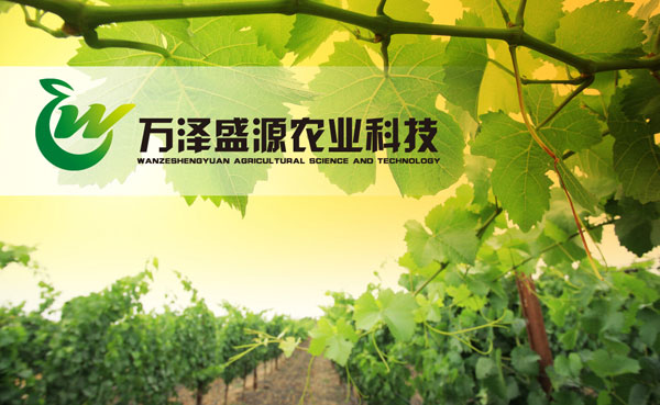 農(nóng)業(yè)科技公司標(biāo)志設(shè)計(jì)/