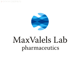 MaxValelslab英文品牌公司LOGO設(shè)計(jì)
