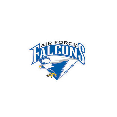 FALCONS與鷹的元素為創(chuàng)意做的企業(yè)LOGO設(shè)計