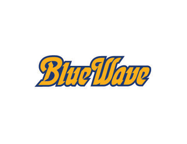 Bluewave藍(lán)色港灣酒吧LOGO設(shè)計(jì)