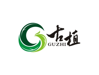 古植guzhi品牌LOGO設(shè)計(jì)創(chuàng)意來自鳳凰的變形設(shè)計(jì)