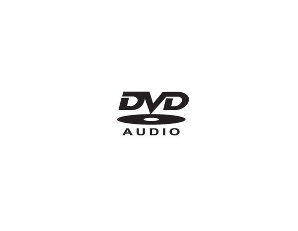 DVD標志設計是以字母配以光盤的創(chuàng)意實現的