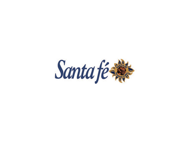 Santafe向日葵公司LOGO設(shè)計(jì)欣賞