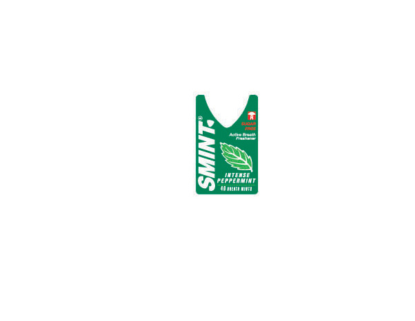 SMINT環(huán)保設(shè)備公司標(biāo)志