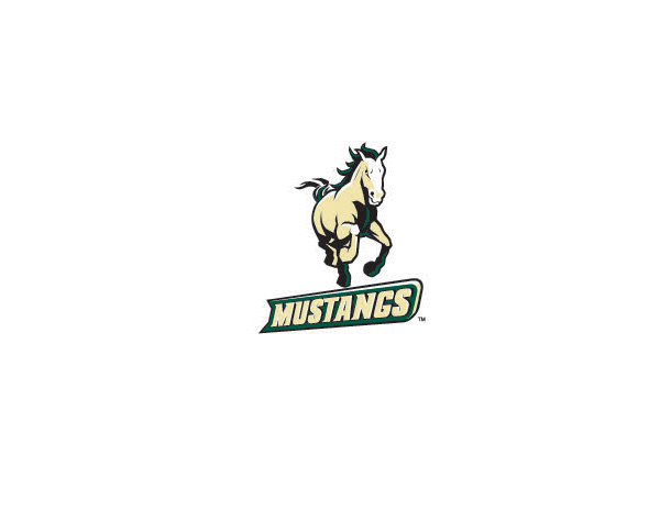 MUSTANGS南田物流公司