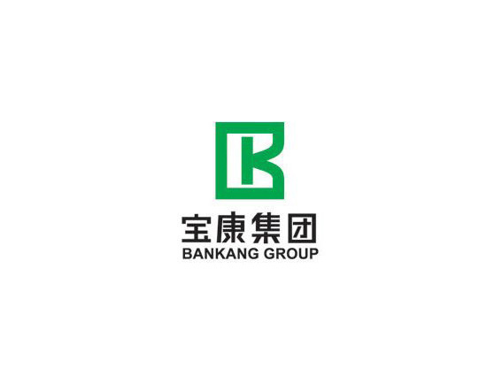 深圳市寶康集團(tuán)公司LOGO設(shè)計(jì)欣賞​