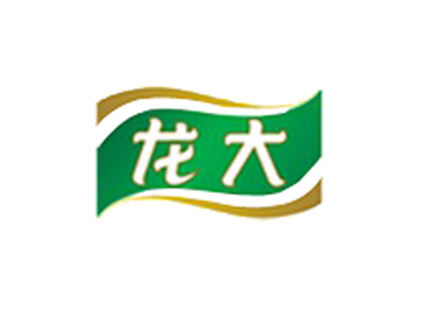龍大食品標志設計​主體部分既像一面迎風招展的旗幟