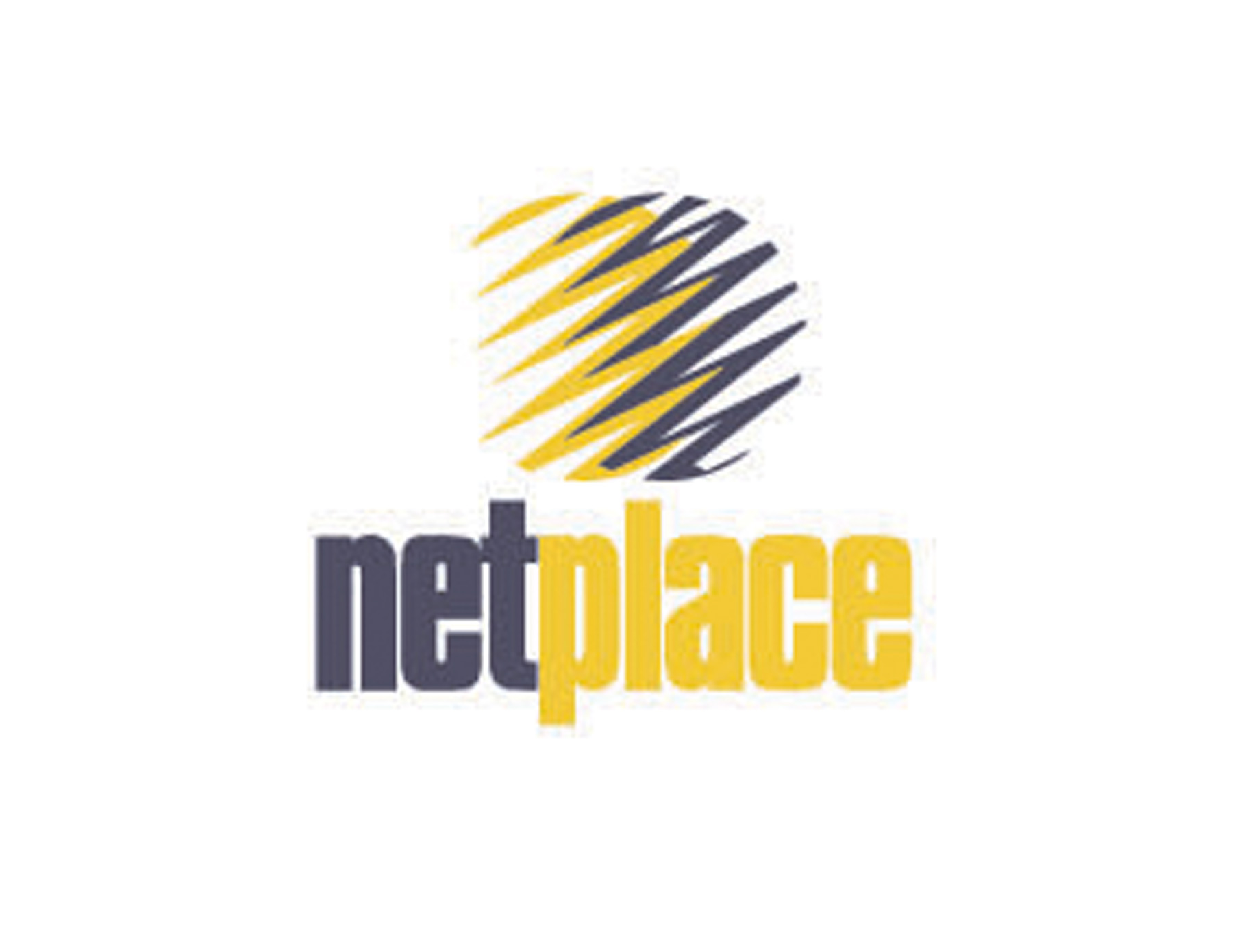 netplace國外速遞公司logo設(shè)計(jì)以動(dòng)感的線條代表速度