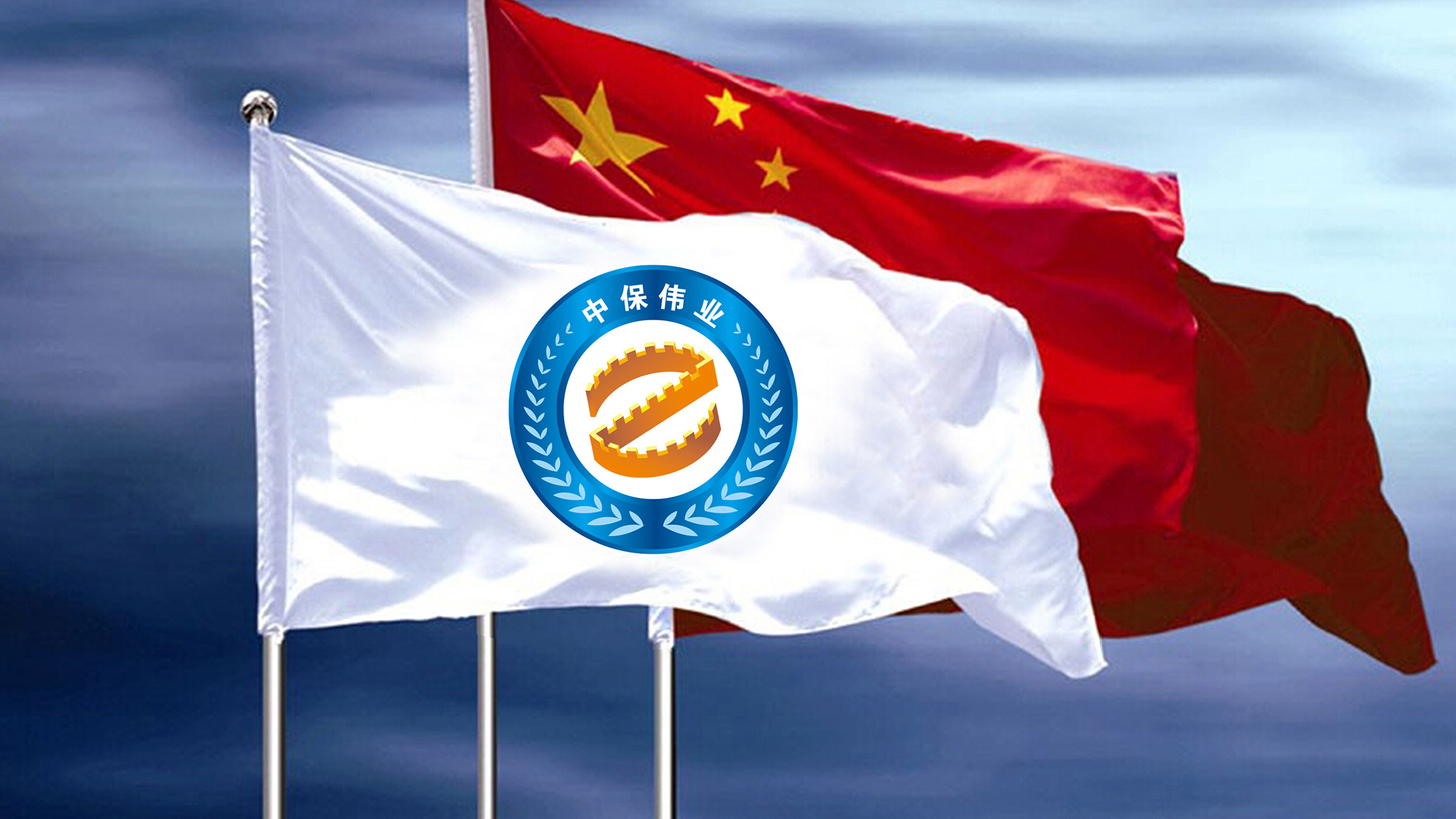 中保偉業(yè)保安服務(wù)公司LOGO設(shè)計/